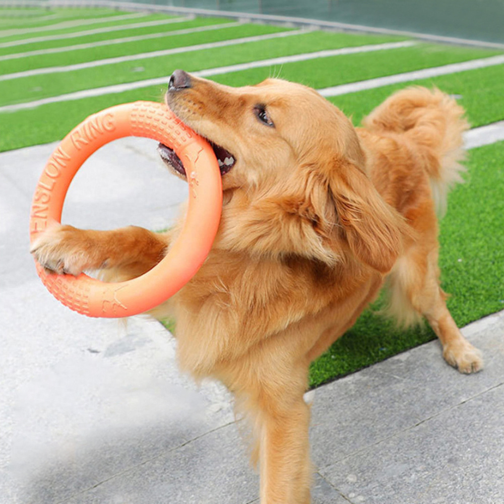 Indestructible Dog Chew Toy - 1 Stuk Oranje Hond Speelgoed Huisdier