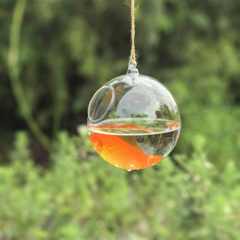 Aquarium - Kleine verpakkingsdiameter=10cm 12cm 15cm 20cm Transparant