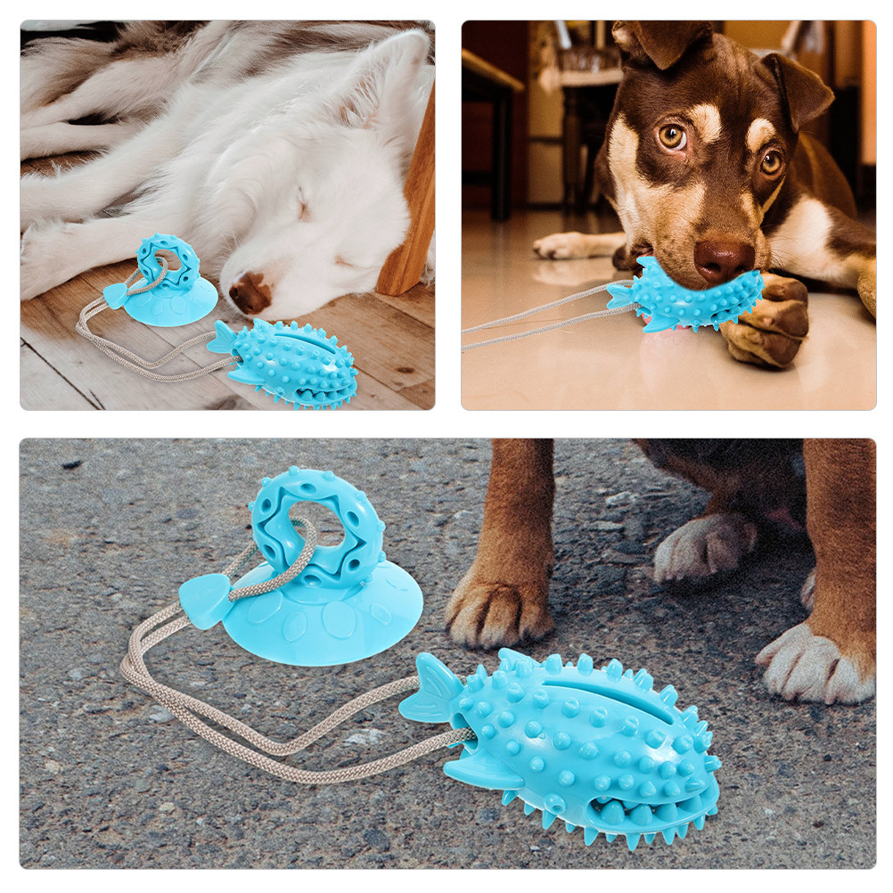 Suction Cup Dog Tug Toy - 2 stuks zuignap hond interactiviteit trekspel