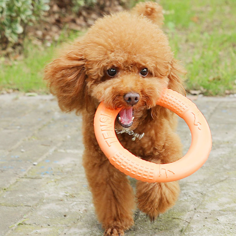 1 Stuk Oranje Hond Speelgoed H - Indestructible Dog Chew Toy recensie en prijs
