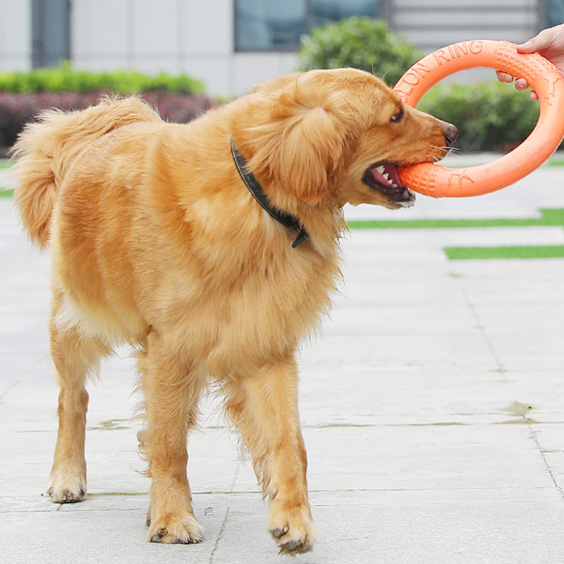 1 Stuk Oranje Hond Speelgoed H - Indestructible Dog Chew Toy recensie en prijs