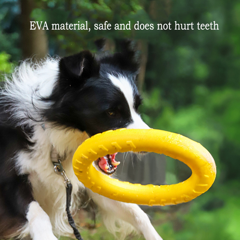 EVA Duurzaam hondenspeelgoed 4 - Indestructible Dog Chew Toy recensie en prijs