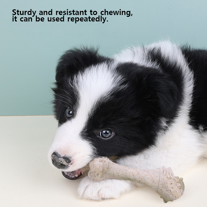 12 cm hondenspeelgoed, een bot - Teeth Cleaning Dog Chew Bone recensie en prijs