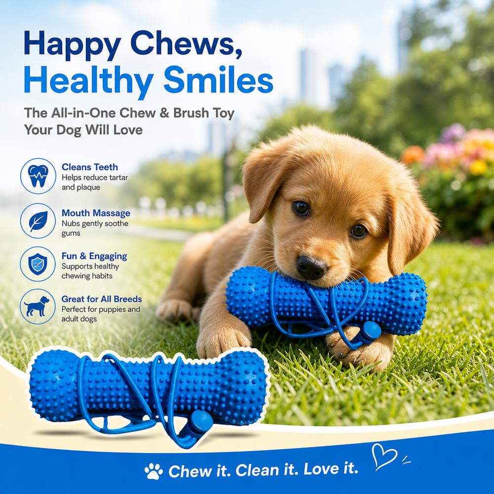 Honden Tandenreinigingskauwspe - Teeth Cleaning Dog Chew Bone recensie en prijs