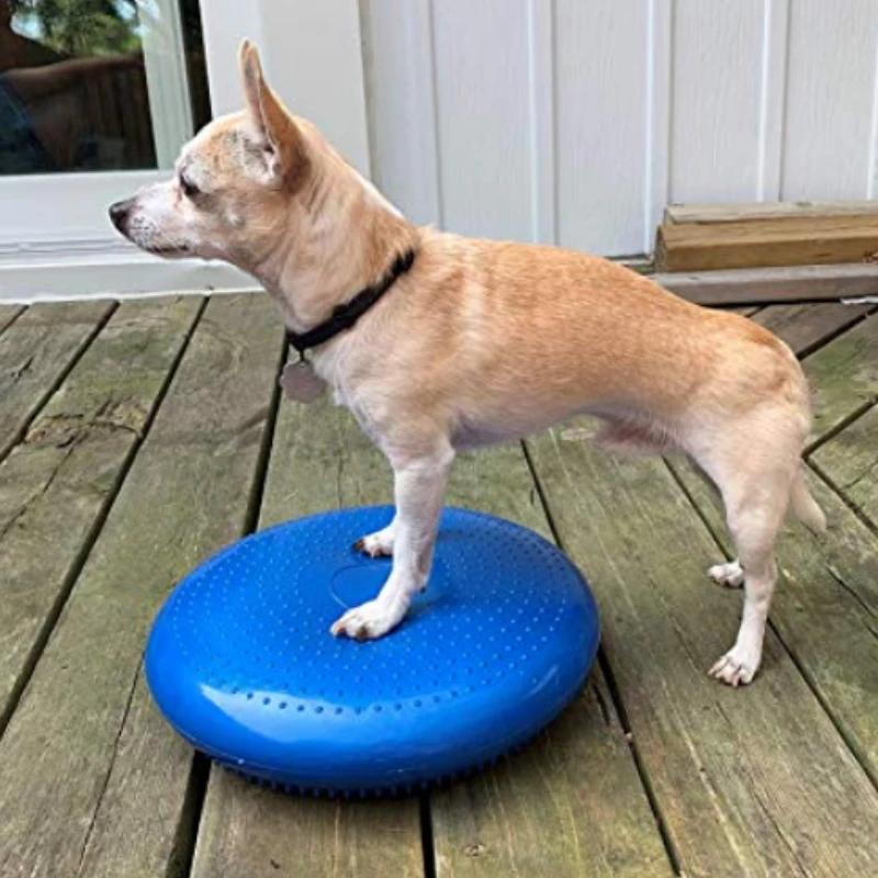 Honden Training Hulpmiddelen B - Flying Disc Dog Training Toy recensie en prijs
