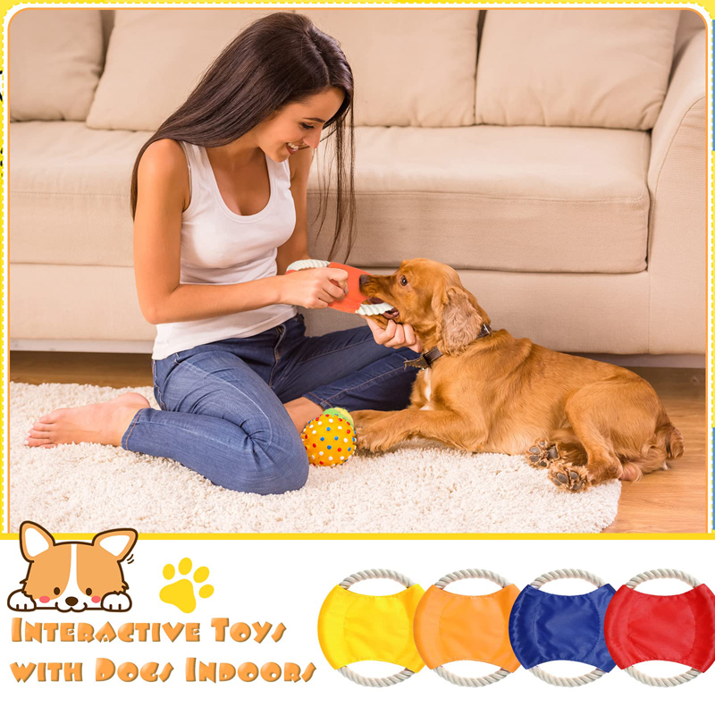 Benepaw Duurzaam Katoen Hond T - Flying Disc Dog Training Toy recensie en prijs