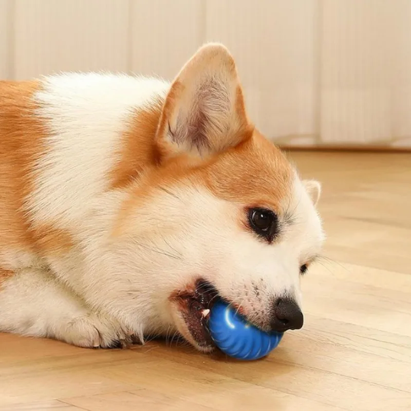 SS Huisdier Speelgoed Bal Auto - Automatic Moving Dog Ball recensie en prijs