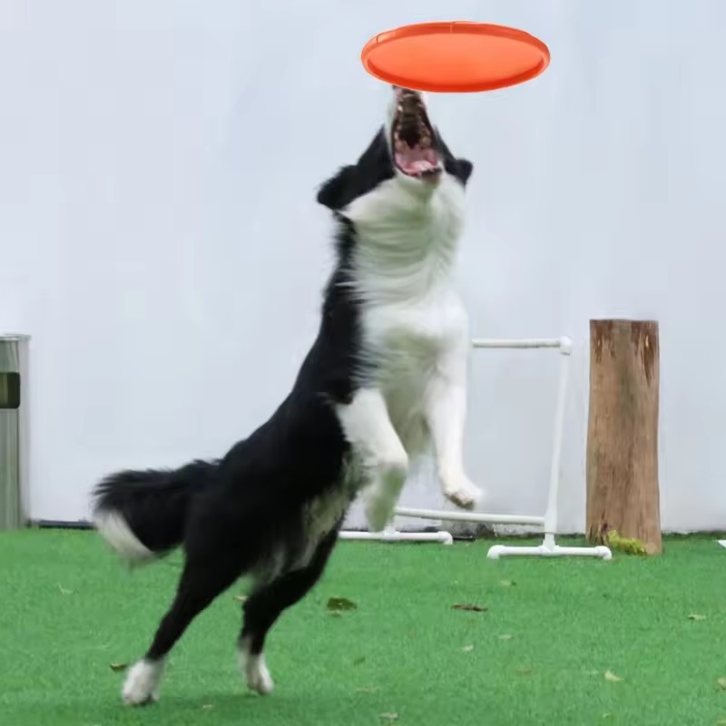 Interactief siliconen vliegend - Flying Disc Dog Training Toy recensie en prijs