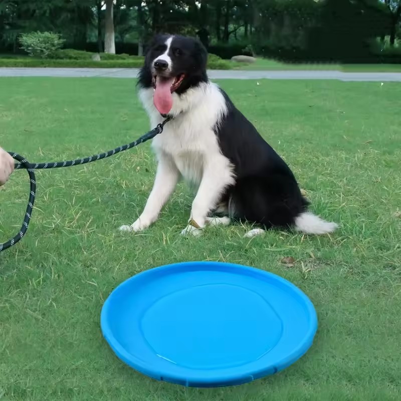Interactief siliconen vliegend - Flying Disc Dog Training Toy recensie en prijs