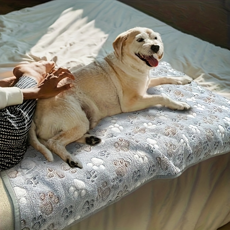 Comfortabele huisdierhanddoek, - Pet Beds recensie en prijs