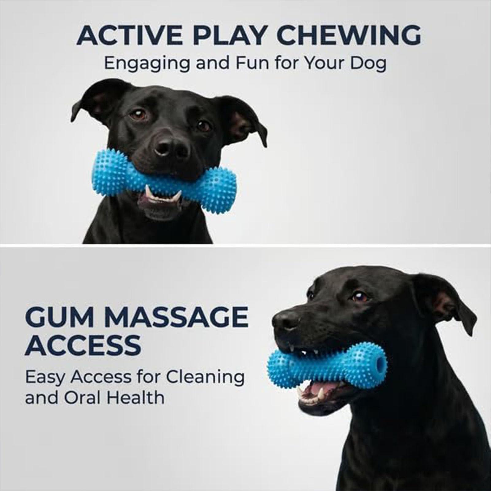 Honden Tandenborstelspeelgoed  - Rubber Treat Dispensing Dog Toy recensie en prijs