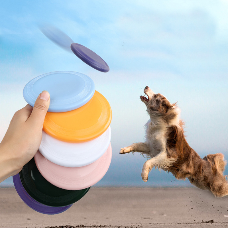 1 Stuks Grappige Vliegende Sch - Flying Disc Dog Training Toy recensie en prijs