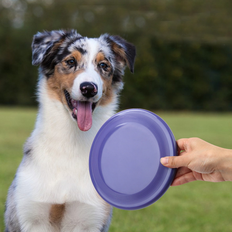 1 Stuks Grappige Vliegende Sch - Flying Disc Dog Training Toy recensie en prijs