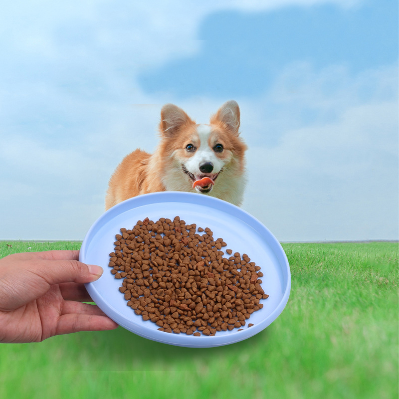 1 Stuks Grappige Vliegende Sch - Flying Disc Dog Training Toy recensie en prijs