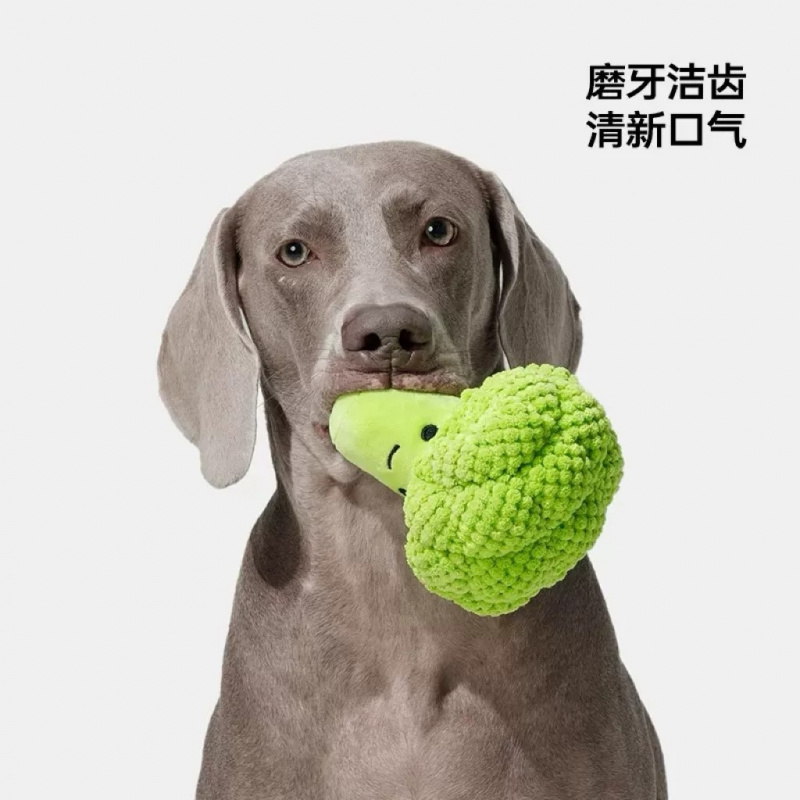 Hondenklankend speeltje voor h - Interactive Squeaky Plush Dog Toy recensie en prijs