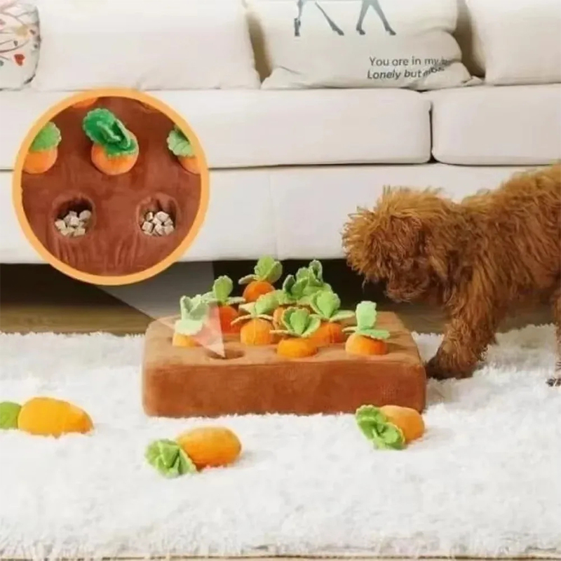 Snuffelmat voor honden, intera - Snuffle Mat For Dogs recensie en prijs