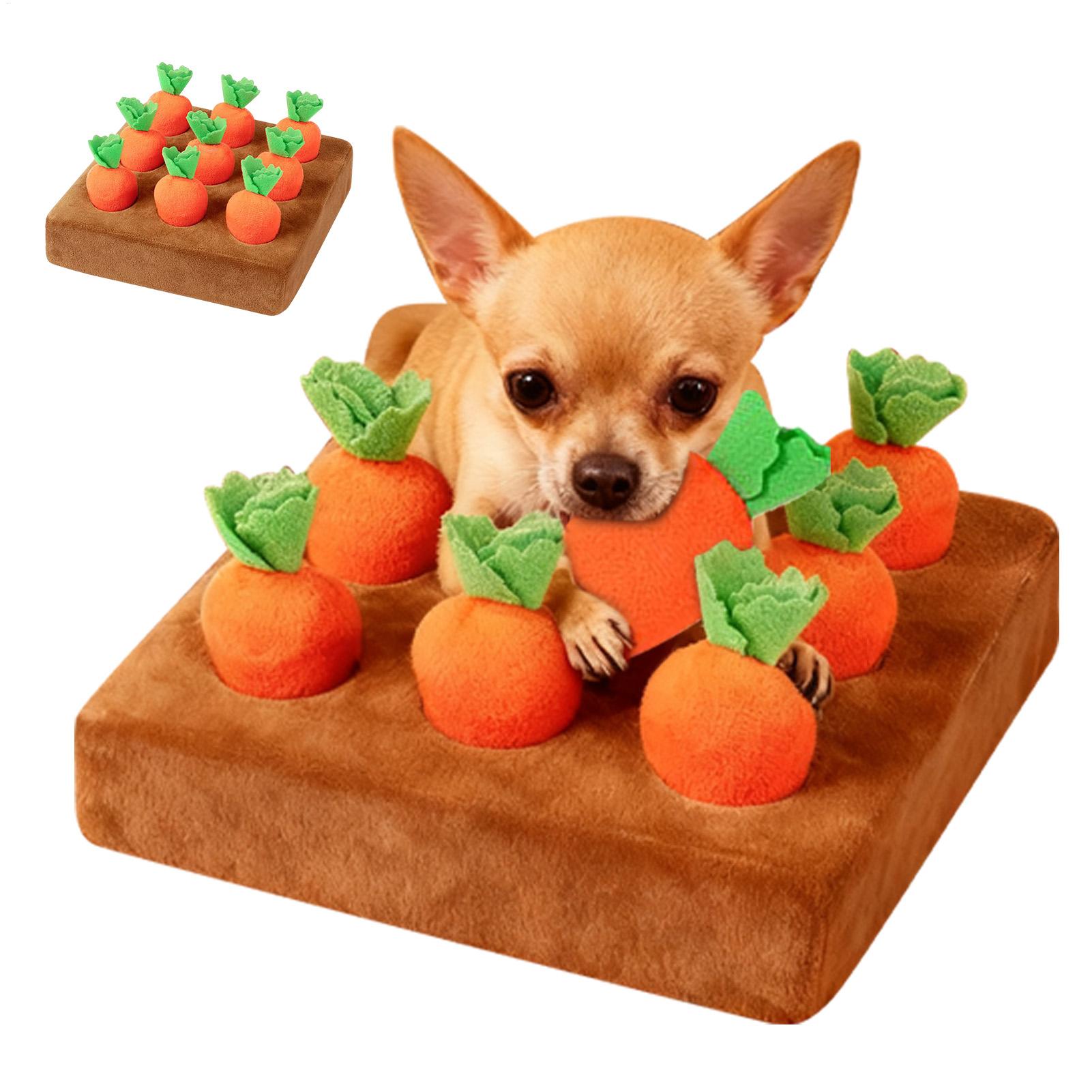 Interactief wortelspeelgoed vo - Snuffle Mat For Dogs recensie en prijs