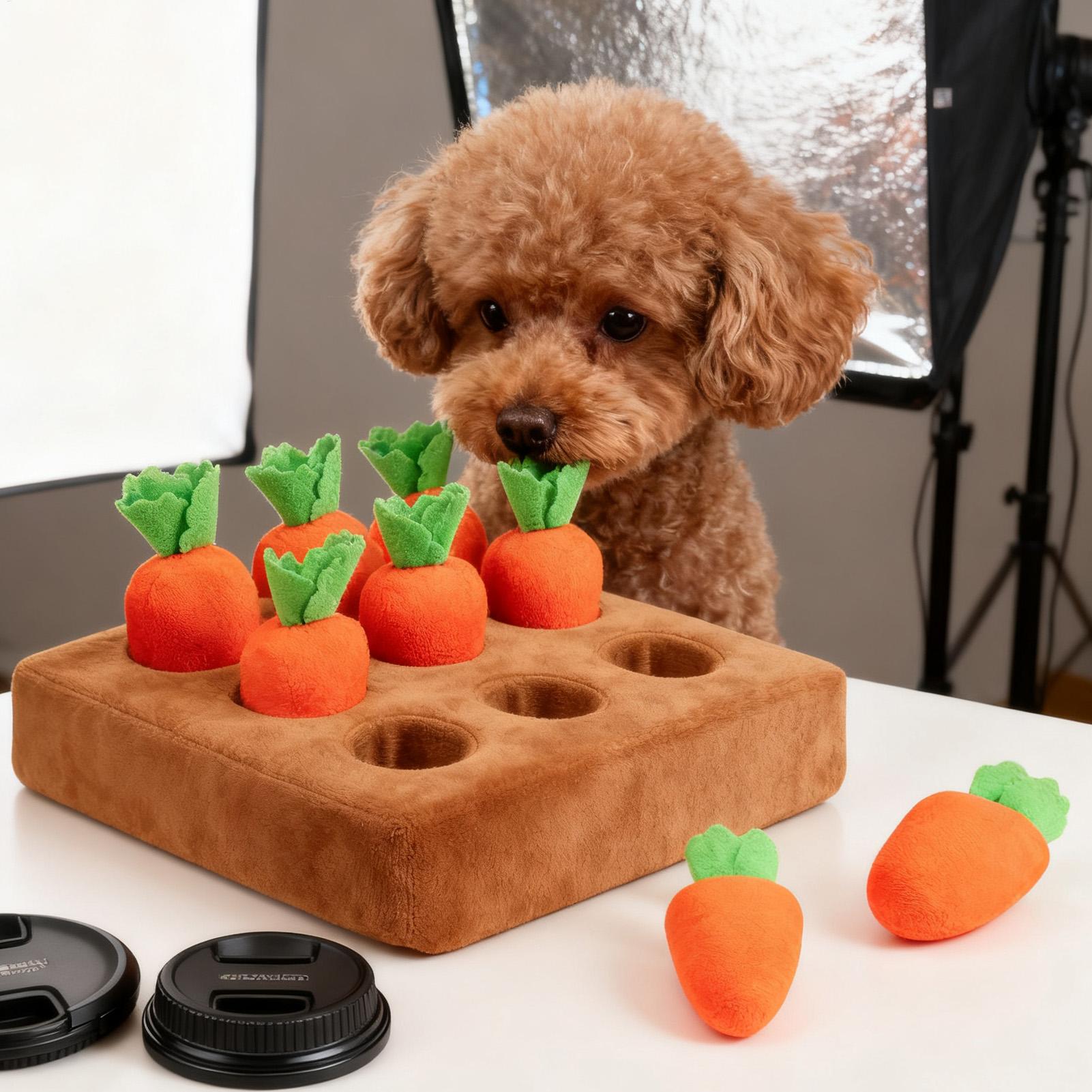 Interactief wortelspeelgoed vo - Snuffle Mat For Dogs recensie en prijs