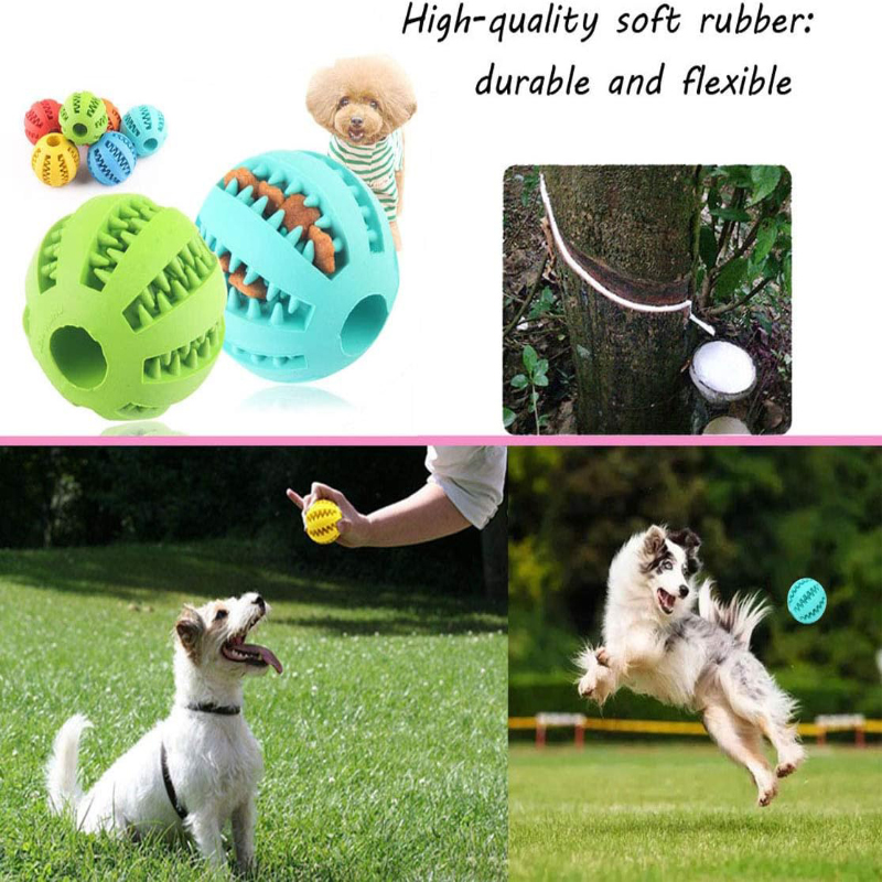 Interactieve niet-giftige bijt - Dog Puzzle Feeder Toy recensie en prijs