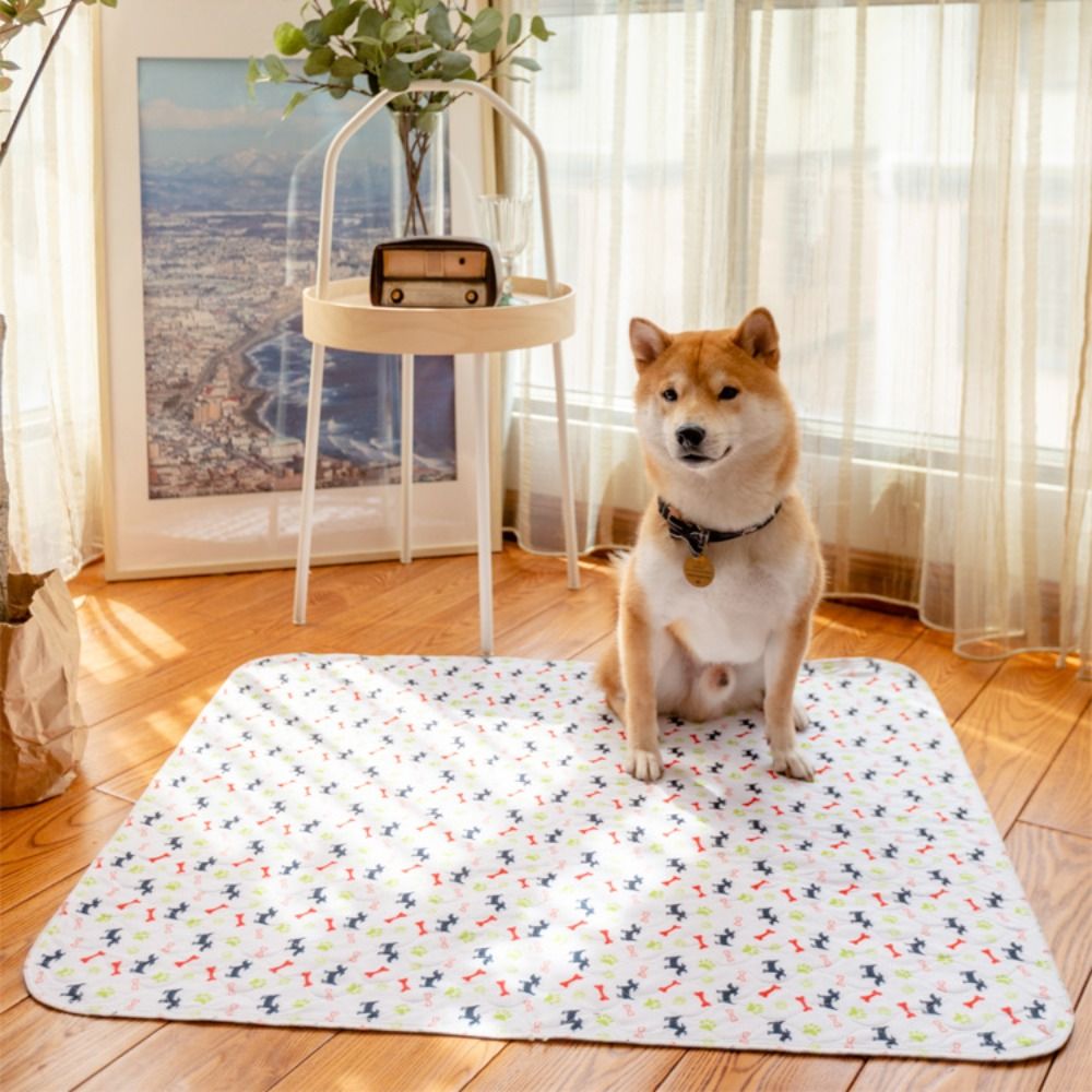 Superabsorberende herbruikbare - Pet Beds recensie en prijs
