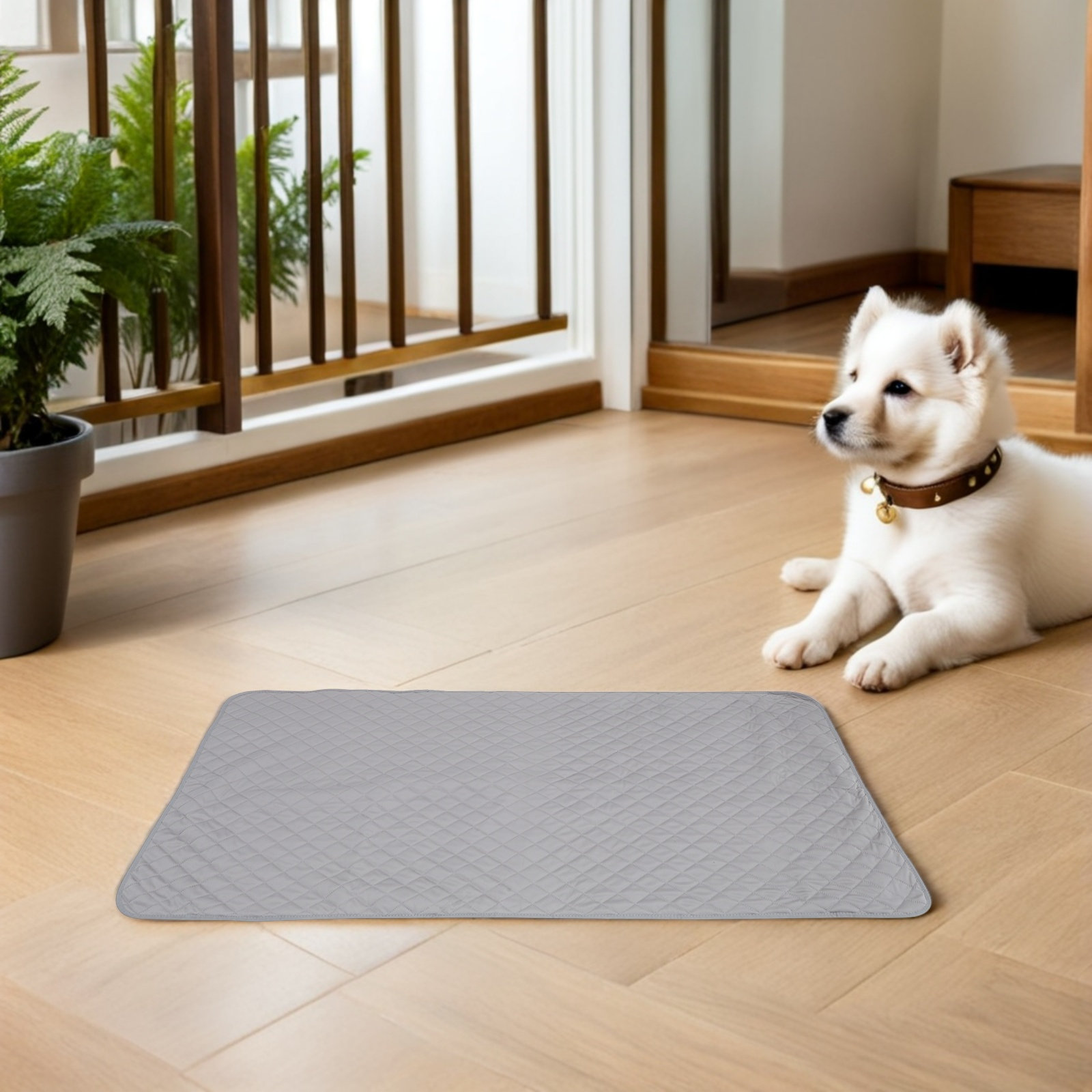 Waterdichte honden deken voor  - Pet Beds recensie en prijs