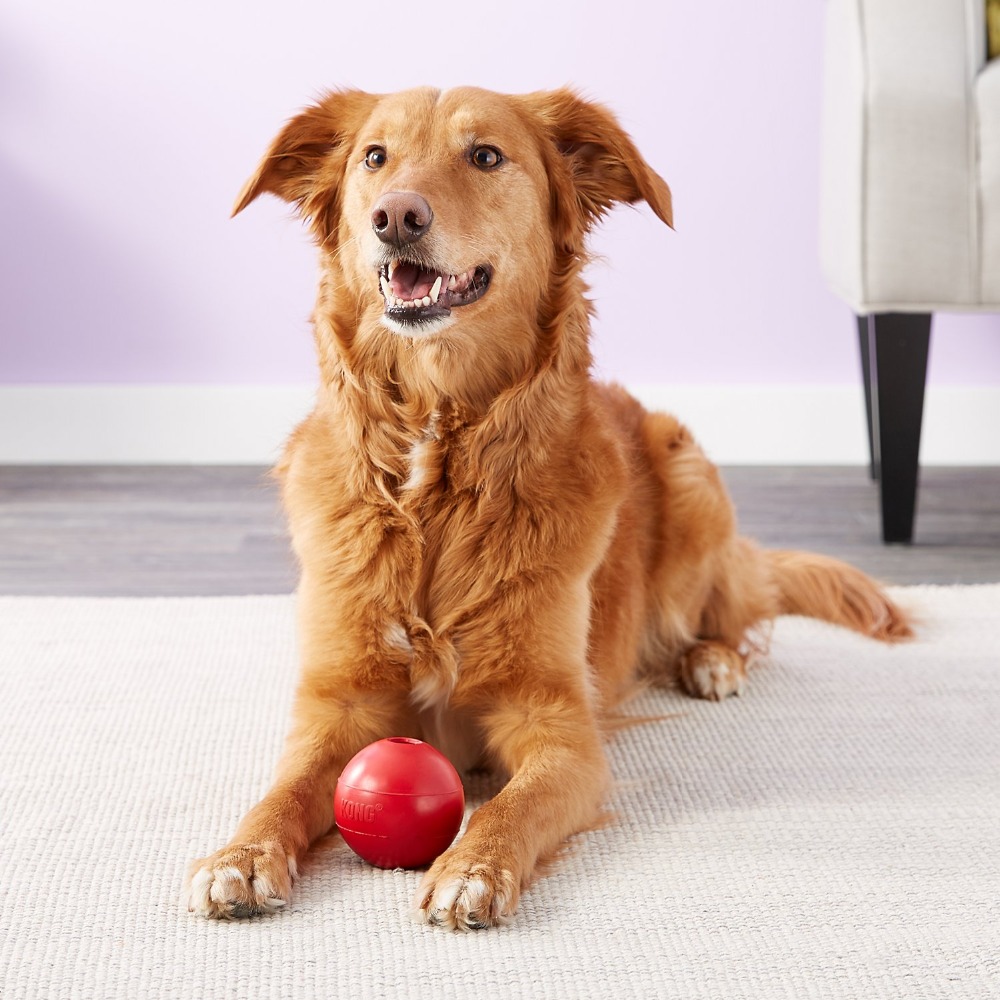 KONG Bal Hondenspeelgoed M/L - Indestructible Dog Chew Toy recensie en prijs