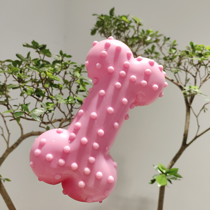 Hondenspeelgoed Rubberen gelui - Teeth Cleaning Dog Chew Bone recensie en prijs